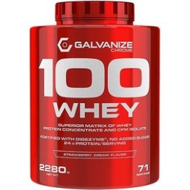 پروتئین وی 100 گالوانیز 2 کیلویی-شکلات