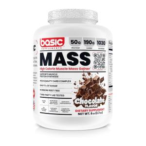 مس گینر 2.7 کیلویی بیسیک طعم شکلات